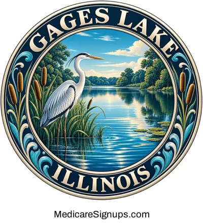 Enroll in a Gages Lake Illinois Medicare Plan.